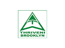 Honeycomb clintel Thriveni Brooklyn