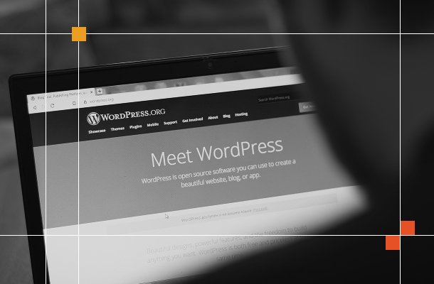 WordPress Website Development Services